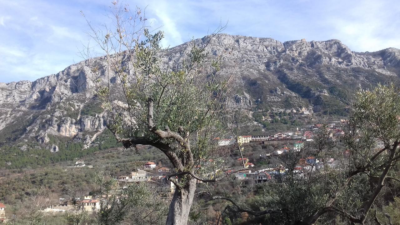 Kruja Hostel Luaran gambar