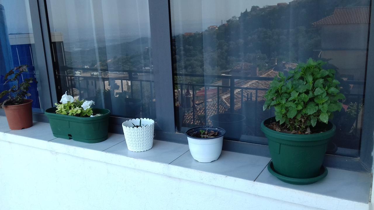 Kruja Hostel Luaran gambar